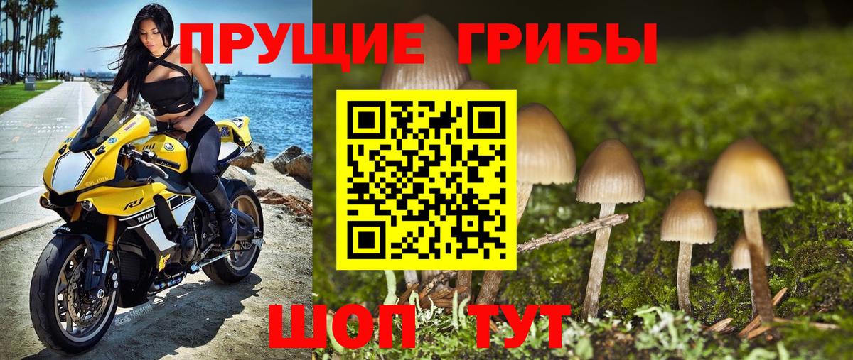 Чебаркуль  даркнет сайт  Вход с VPN  Галлюциногенные грибы мухоморы 
